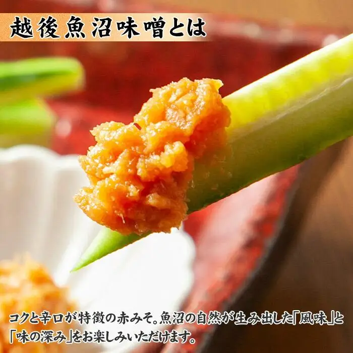無地熨斗 新潟県 南魚沼産 こだわり味噌1kg ＆ 越後魚沼味噌1kg 木津醸造所 食べ比べ セット｜贈答