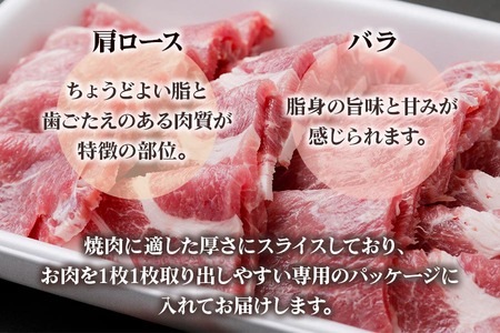 豚肉 美濃ヘルシーポーク 焼肉用 豚肉 松坂屋精肉店 [mt1263]