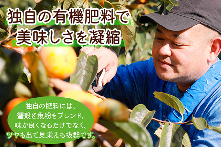 令和8年産 柿 富有柿 Lサイズ (14個入) 福井農園 柿
