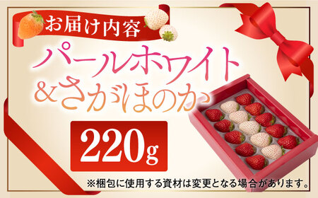 【先行予約 2027年1月～発送】さがほのかとパールホワイト 220g / いちご [IAQ004]
