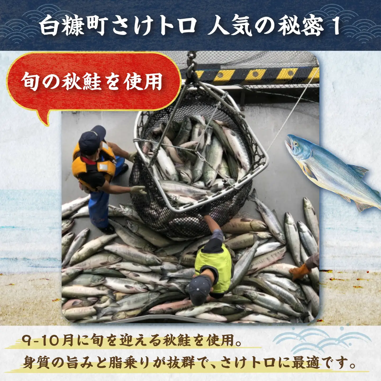 北海道産鮭使用「さけトロ」【40g×20パック（タレ付）】便利な食べきりパック_T012-0530-60DAYS