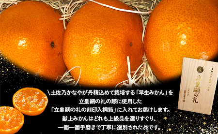 【2026年11月より順次配送】早生みかん 8玉 桐箱入り みかん be-0110