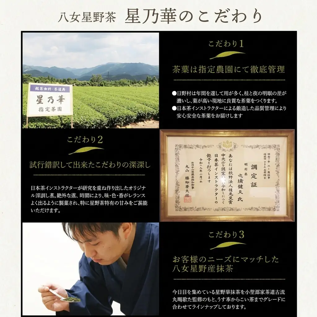 八女茶 訳あり品 深蒸し茶 1100g（100g×11袋） 八女茶 お茶