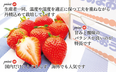 【2027年2月より順次発送】博多あまおう特別6パック 約1.5kg[H2245]