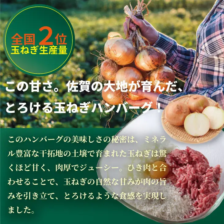 佐賀牛を使った贅沢ハンバーグ（150g X 9）ハンバーグ B170-029