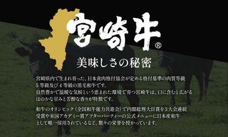 【ステーキ】宮崎牛ロースステーキ ステーキソース付 [牛肉 ステーキ肉 サーロインステーキ 霜降り ロース]