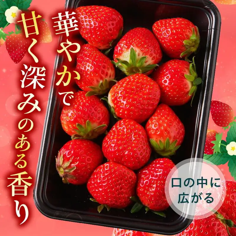 訳あり ご家庭用 さぬきひめいちご(約250g×8パック)【2027年2月上旬～2027年6月下旬配送】
