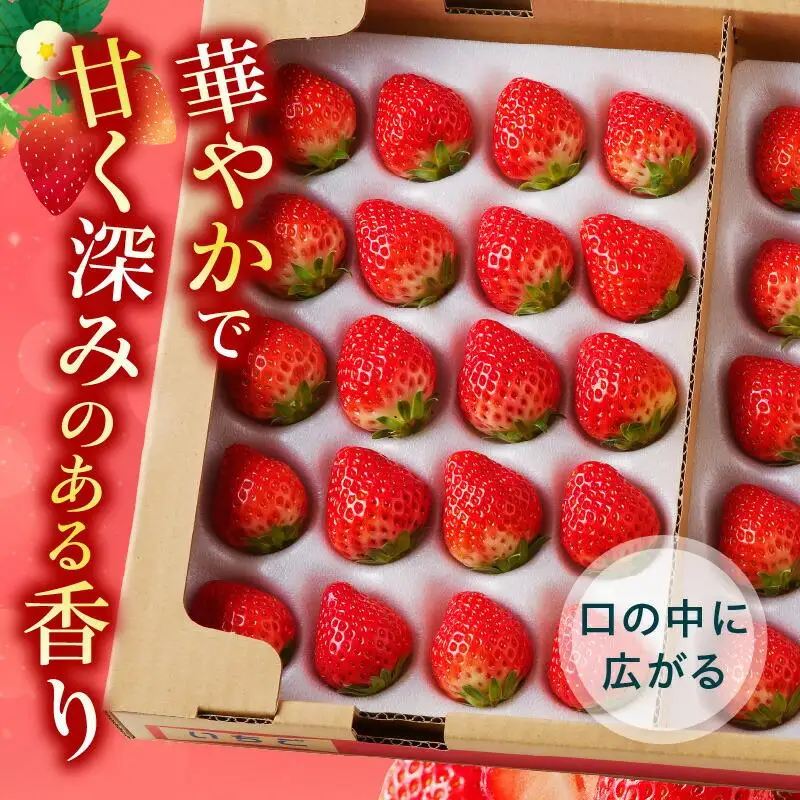 ケーキ用 さぬきひめいちご 4トレー(各約280g)【2027年1月上旬～2027年5月下旬配送】