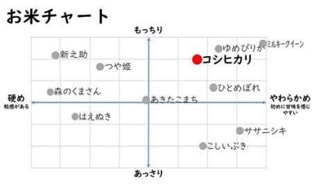 令和7年産米【五ツ星お米マイスター厳選】コシヒカリ 無洗米 5kg[Y0561]