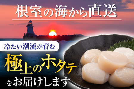 【北海道根室産】お刺身帆立貝柱900g×1P B-42076