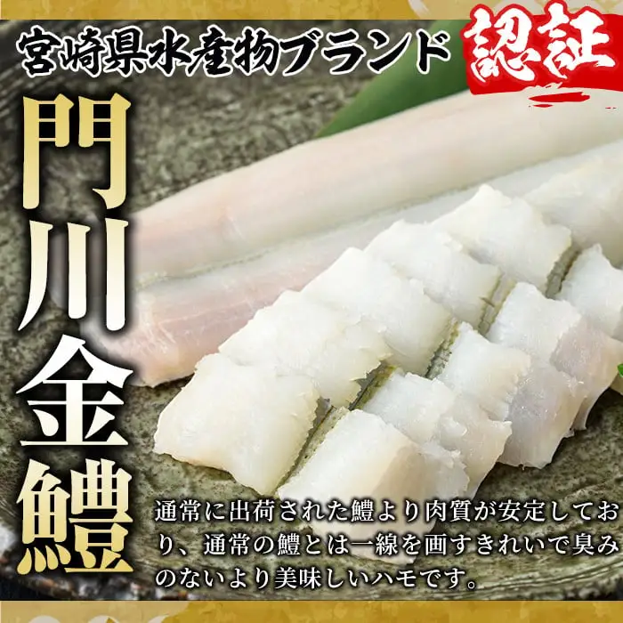 門川金鱧(計1.5kg)骨切り済 ハモ 小分け 冷凍 魚介類 鍋 丼 国産 宮崎県 門川町【O-1】【門川漁業協同組合】