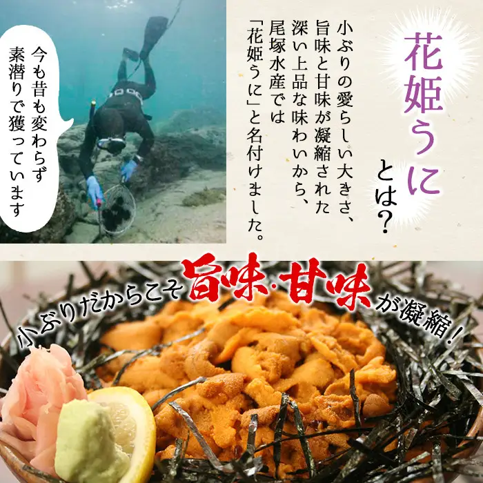 ＼テレビで紹介されました！／＜鹿児島県産うに使用＞濃厚なウニの瓶詰め(4種)国産 九州産 鹿児島産 ウニ うに 雲丹 海胆 水産加工品 ムラサキウニ あわび アワビ 鮑 おつまみ【尾塚水産】akn004-21