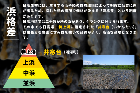 井寒台産　一等日高昆布(300g×1)と一等根昆布(200g×2)[34-1011]