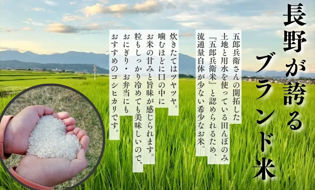 令和7年産・白米30kg（10kg×3）】「五郎兵衛さんのお米」 コシヒカリ
