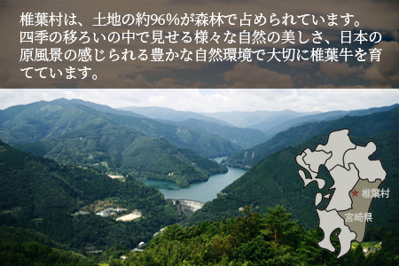 宮崎県産 椎葉牛 切り落とし 2kg A5等級指定 国産牛 黒毛和牛 和牛 牛肉 赤身 肉 A5 すき焼き TK-30