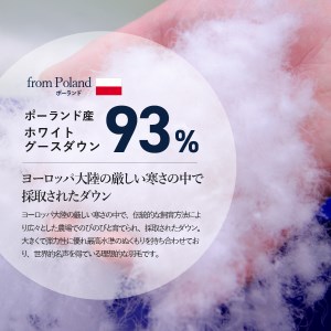 羽毛ふとん 活躍5点セット セミダブル【オールシーズン対応】 羽毛布団 寝具 2枚合わせ セミダブル布団 掛ふとんカバー ピロケース 