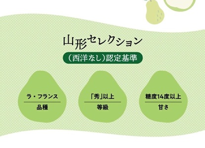 SA3076　六代多右エ門　西洋梨 特選 ラ・フランス《山形セレクション》　約3kg(9～10玉) 