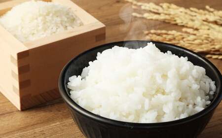 〈令和6年度産〉らんこし米（ゆめぴりか）2kg（野口農場）