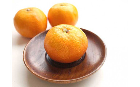 【2026年先行予約】ハウスみかん 二種 食べ比べ 4パック 【ミカン 蜜柑 柑橘 温州みかん 有田みかん ハウスミカン 和歌山】_BF6057