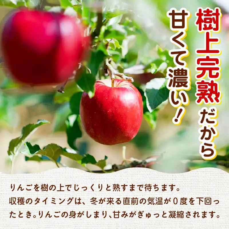 70P009001 寒熟りんごジュースセット【陽気な母さんの店 】