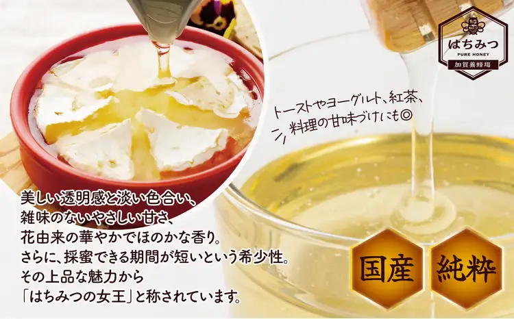 アカシア蜂蜜 500g　50P5409【加賀商店】