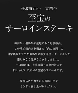 【極上 丹波篠山牛】 サーロインステーキ （3枚入） サーロイン AB15