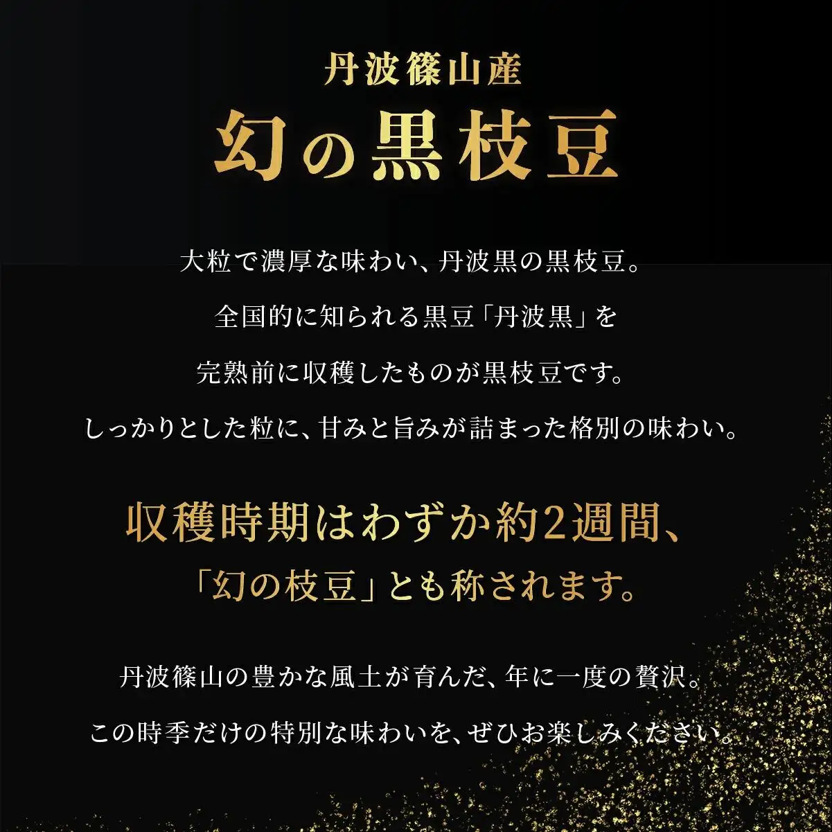 【先行予約】丹波篠山産 黒枝豆 1kg×2袋《晩摘み10/24～31》枝豆 [AQ18]