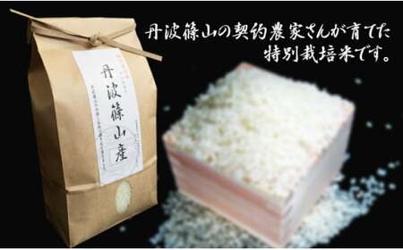【令和7年産】丹波篠山産 特A 特別栽培米 コシヒカリ  (2kg) こしひかり  BA02
