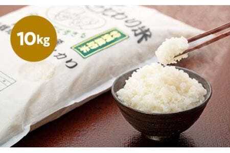 【令和7年産】丹波篠山産 特別栽培 コシヒカリ (白米 10kg) 特別栽培米 減農薬栽培  BE02