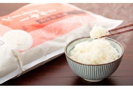 【令和7年産】丹波篠山産 特別栽培 食べ比べ (コシヒカリ5kg ミルキークイーン5kg) 特別栽培米 減農薬栽培  BE03