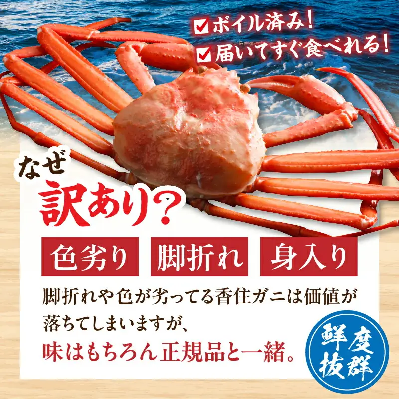 訳あり】 浜茹で 香住ガニ 約1kg以上 【令和8年9月中旬以降発送予定