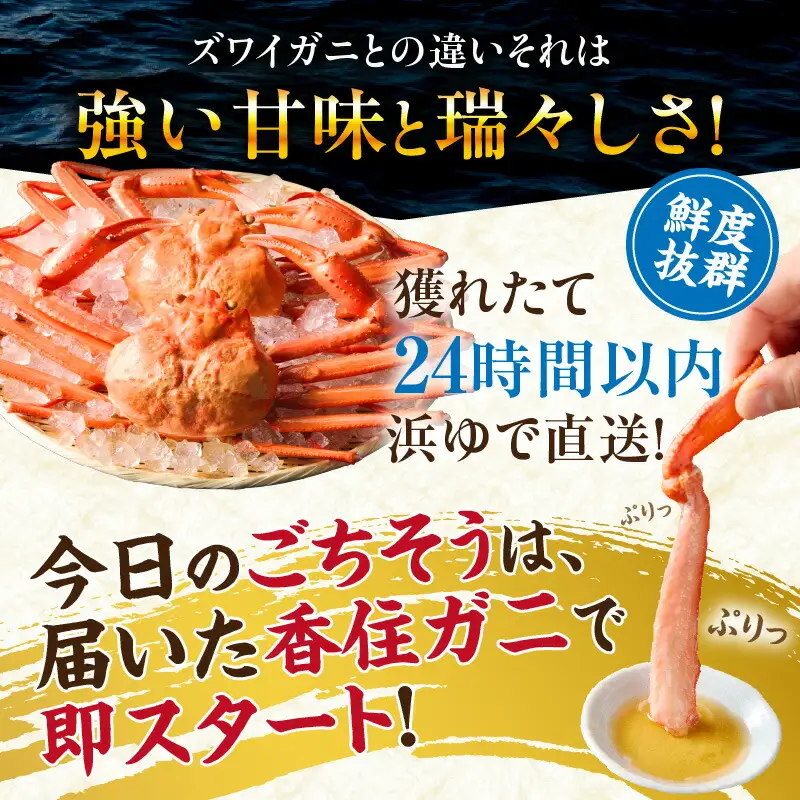 高評価☆4.6 香住ガニ 約600g×2匹（約1.2kg以上）【令和8年9月中旬以降発送予定】かに カニ 07-01