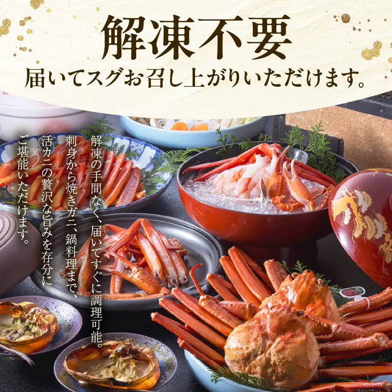 《生》 香住ガニ 大 タグ付き 約800g×2枚【令和8年11月以降発送予定】かに カニ 03-07