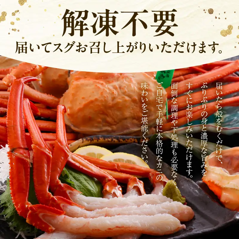 《ボイル》 香住ガニ 大 タグ付き 2枚【令和8年11月以降発送予定】かに カニ 03-08