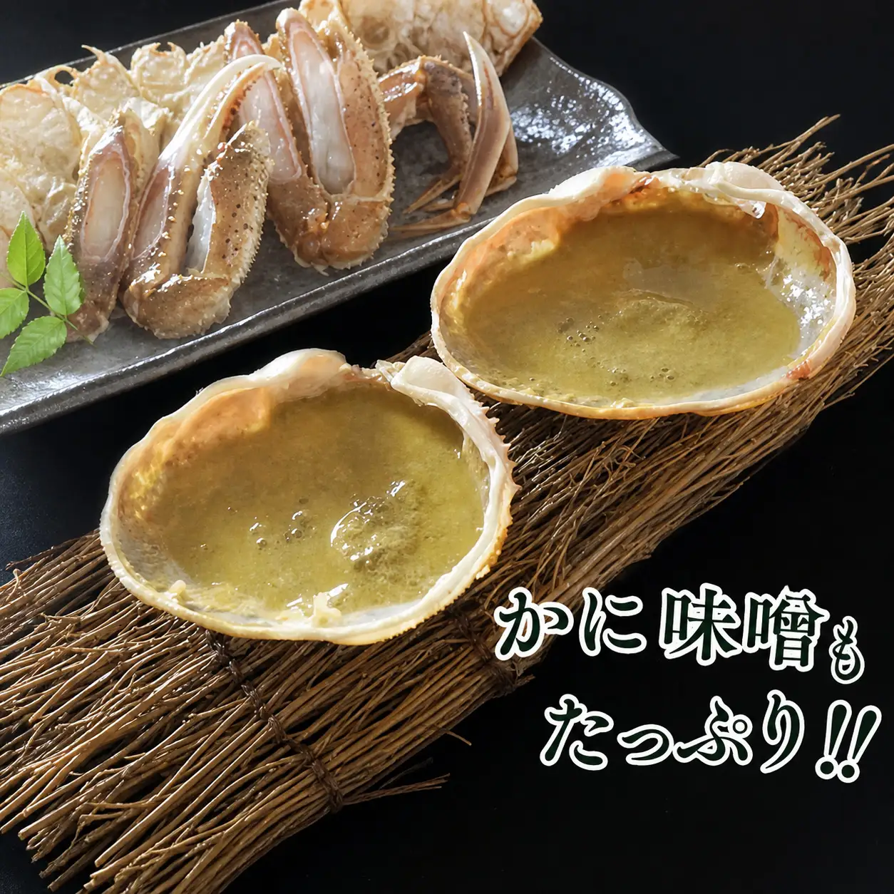 【訳あり･数量限定】松葉がに 2匹【令和8年11月中旬以降発送予定】かに カニ 07-38