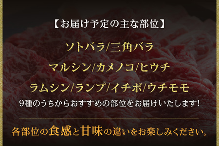 但馬牛 焼肉 食べ比べ おすすめ5種盛り 500g 冷凍 牛肉  02-18