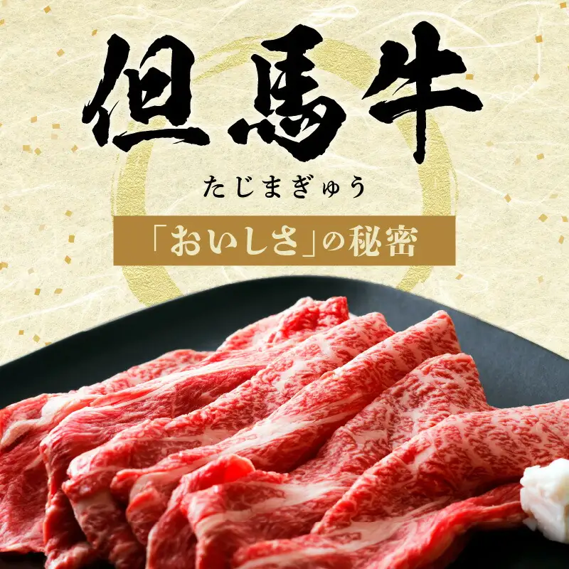 但馬牛 肩ロース すき焼き用 合計500g 冷凍 牛肉  02-06