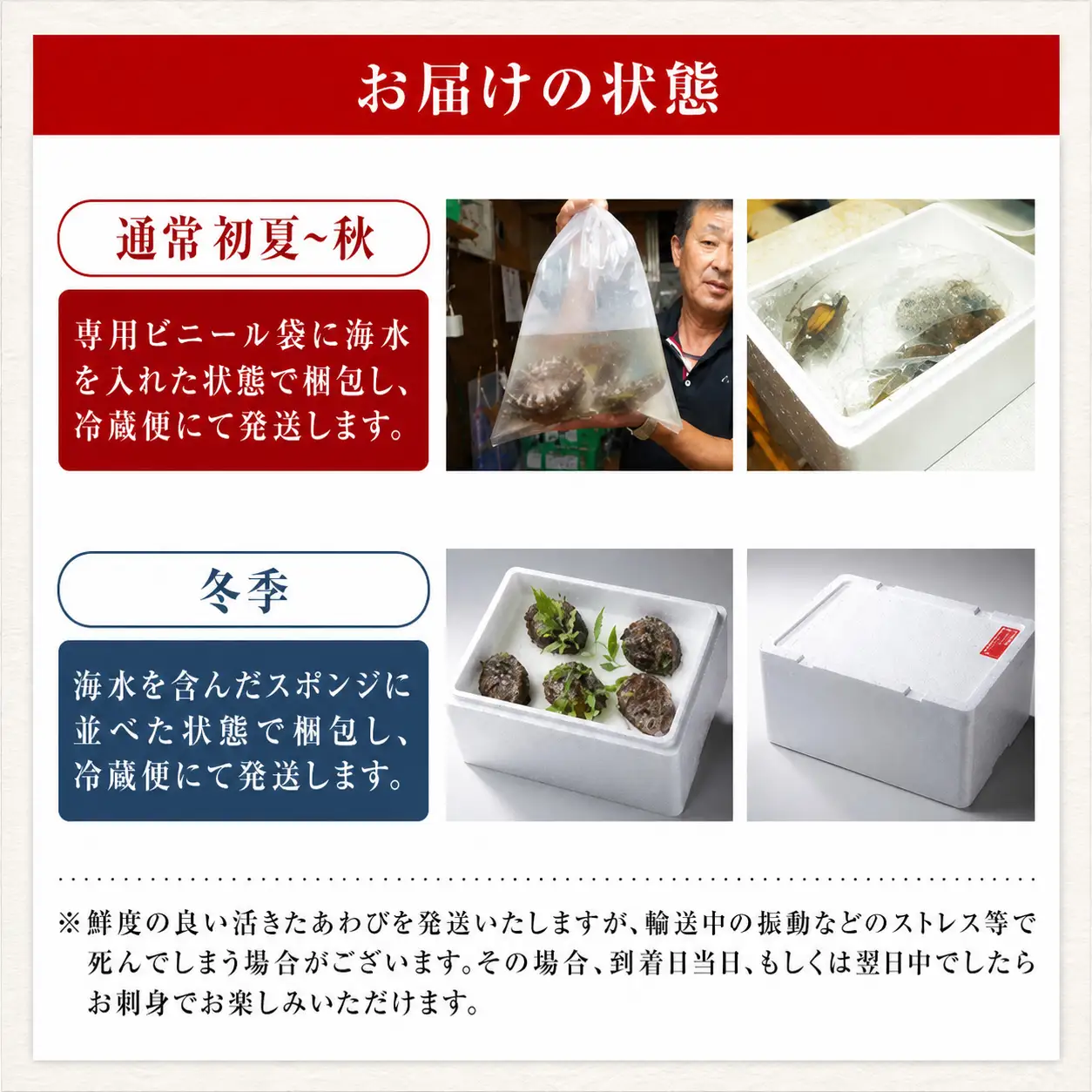 高評価☆4.8 活あわび 9.5cm×4枚 400g～480g (1個100～120g） あわび アワビ 20-03