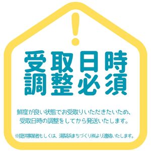 親ガニ 7枚 － 8枚 生 セット 鳥取県産 蟹 かに 松葉蟹 | 57M