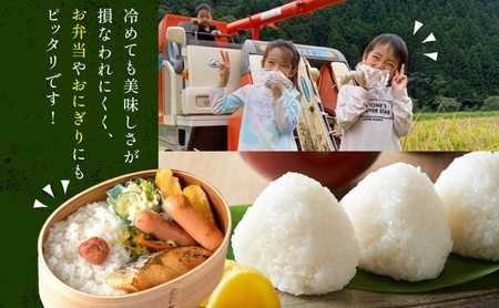 こしひかり あすかの恵 精米 真空パック こしひかり【約4.5kg×2袋】