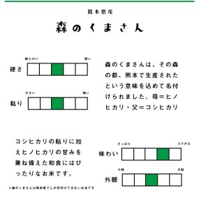 予約販売！【令和3年産】森のくまさん 13kg (6.5kg×2袋)