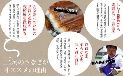 三河産 うなぎ蒲焼《超特大》2尾（400～420g）・A090-15-1