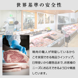 isa262 焼肉セット(計500g・南国黒牛250g/南国スイート豚250g) 牛肉 国産 豚肉 焼肉 BBQ 食べ比べ 肉専用種【お肉の直売所 伊佐店】