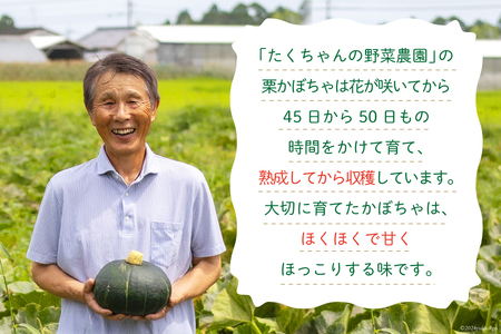 【期間限定発送】 野菜 栗カボチャ 2玉