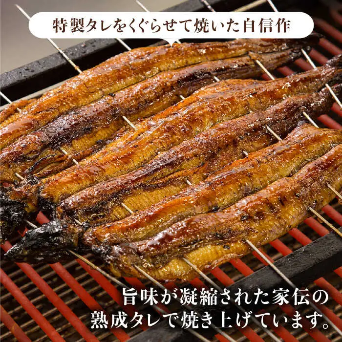 国産 鰻蒲焼 6枚セット 鰻 うなぎ ウナギ[FAD013]