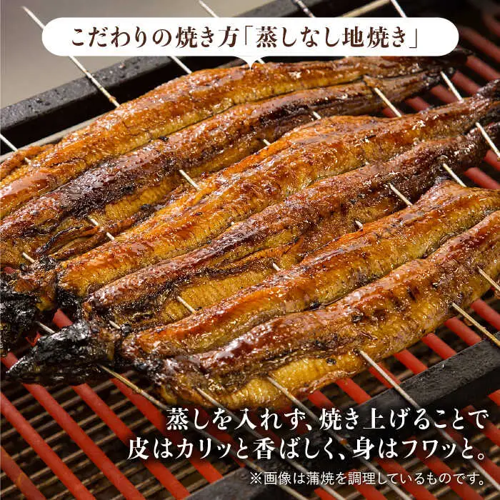 ふっくらジューシーのこだわりうなぎ【6回定期便】国産うなぎの白焼 6枚セット×6回[FAD019]