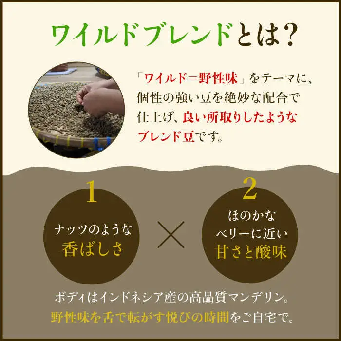 【3回定期便】ワイルドブレンドドリップバッグセット（15袋入り） [FBR042]
