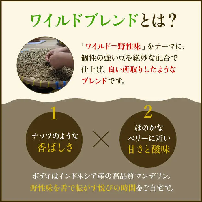 【3回定期便】ワイルドブレンド200g & ファイヤーブレンド200g≪粉タイプ≫×3回 ギフト 飲み比べ たっぷり 粉 オフィス イベント キャンプ おうち 【ラオジャパン合同会社】 [FBR054]