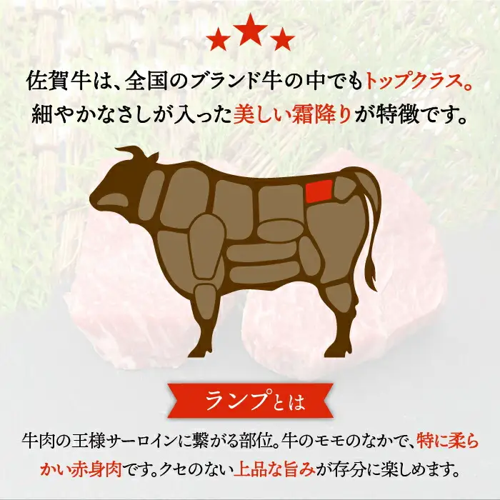 佐賀牛 ランプ ステーキ 計600g  赤身 すてーき[FAY043]