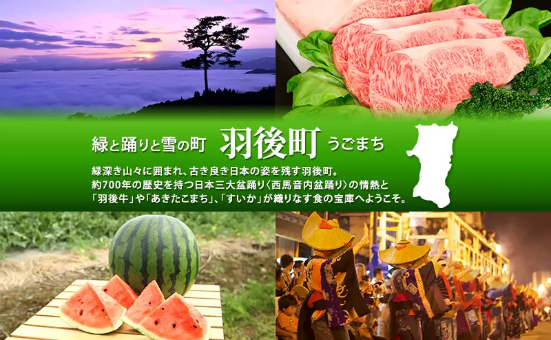 羽後和牛熟モモすき焼き用切り落とし羽後和牛【1kg(各500g)】